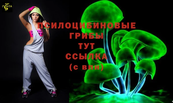метамфетамин Ельня