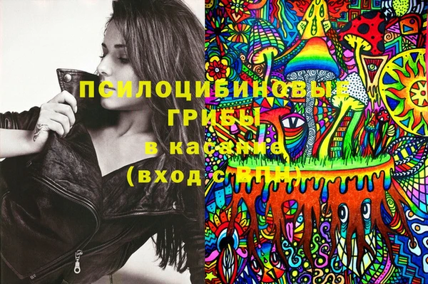 спайс Елизово