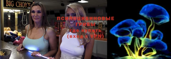 метамфетамин Ельня
