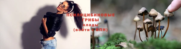 спайс Елизово