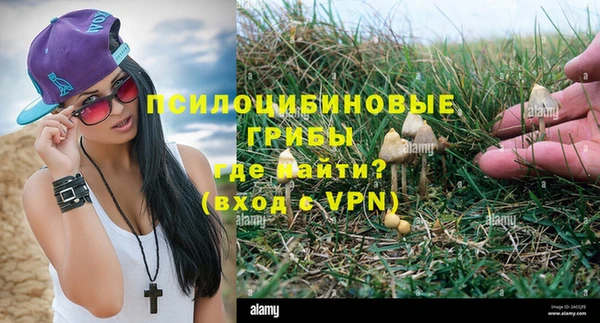 спайс Елабуга