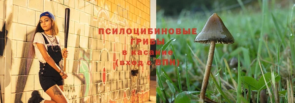 метамфетамин Ельня