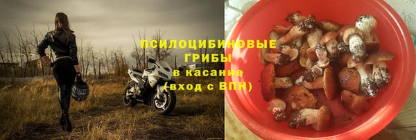 метамфетамин Ельня