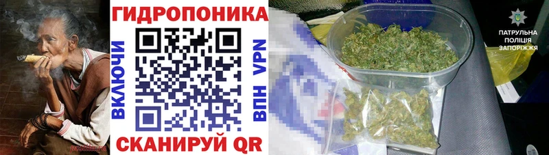 Конопля SATIVA & INDICA Карабаш